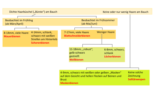 Solitärbienenschlüssel Nisthilfen