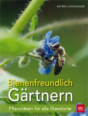Bienen im Garten fördern