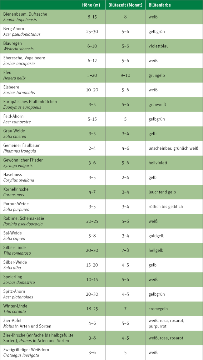 Tabelle Hochwachsende Gehölze
