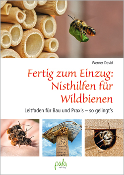 Fertig zum Einzug: Nisthilfen für Wildbienen
