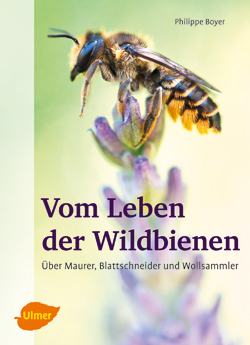 Vom Leben der Wildbiene