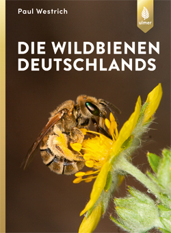Die Wildbienen Deutschlands