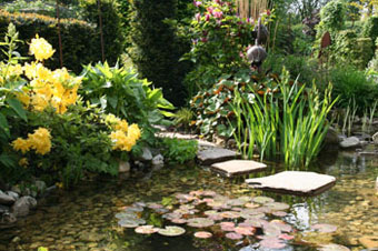Wasser im Garten ist immer faszinierend