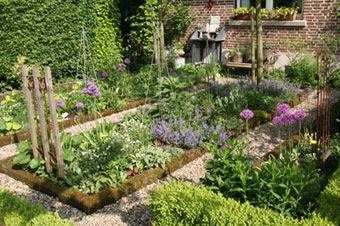 Der Kräutergarten