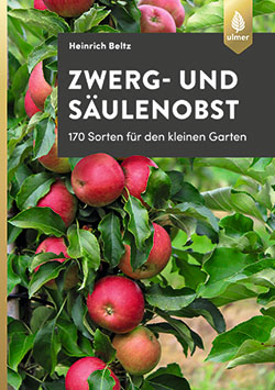 Zwerg- und Säulenobst