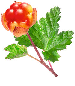 Moltebeere