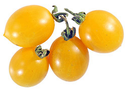 Tomatensorte ‘Ildi’