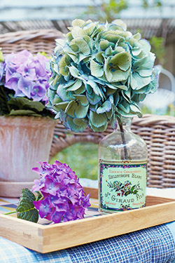 Hortensienblüten trocknen