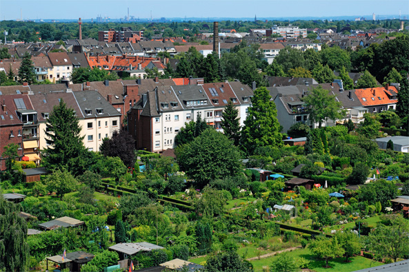 Grün in den Städten