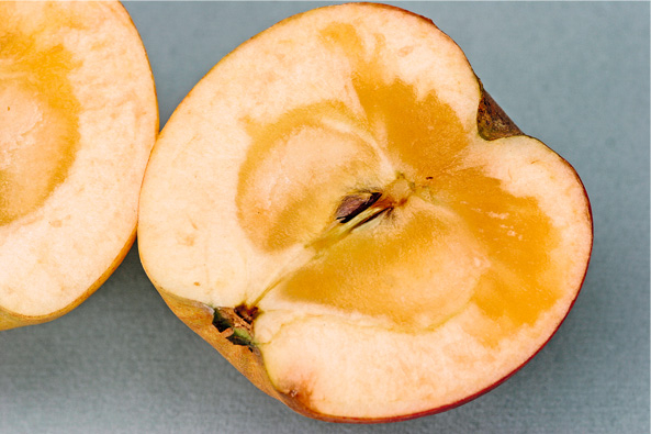 Glasige Äpfel