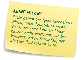 Keine Milch!
