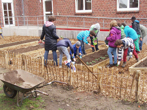 Schulgarten der Schule St. Nicolai