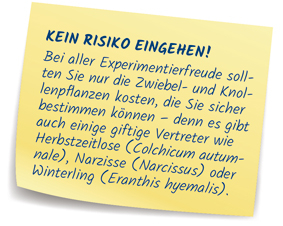 Kein Risiko!