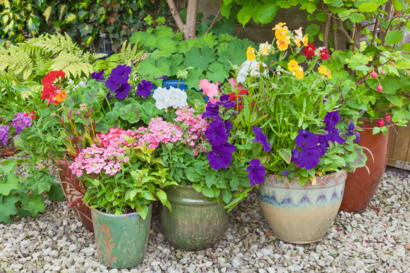 Sommerliche Hingucker