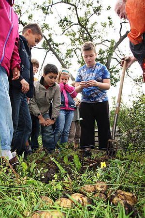 Schüler beim Kartoffelprojekt in Lübeck