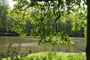 mehrere Teiche