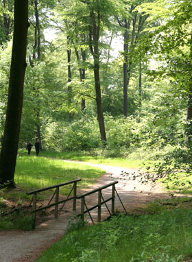 Schöne Wanderwege