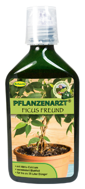 PFLANZENARZT Ficus Freund