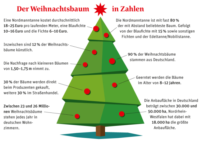 Weihnachtsbaum in Zahlen