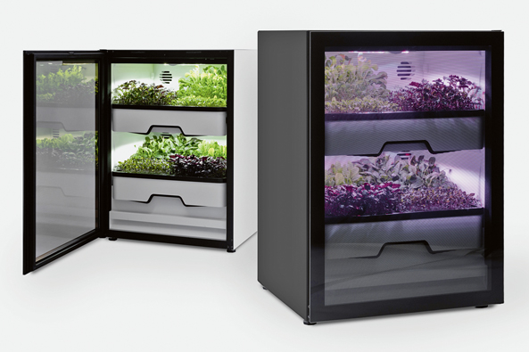 Salatfarm