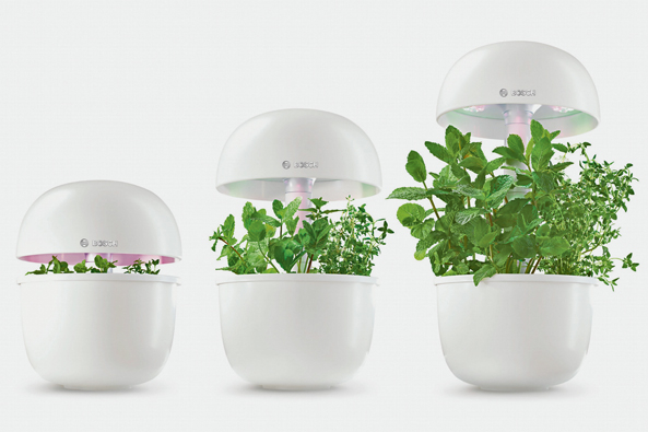 Kapsel-System „Smart Grow“
