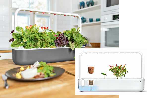 Kapsel-System „Click & Grow“