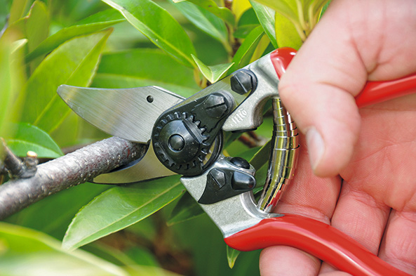 Gartenscheren in Profiqualität