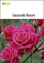Gesunde Rosen