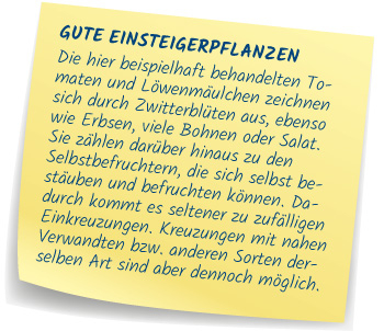 Gute Einsteigerpflanzen