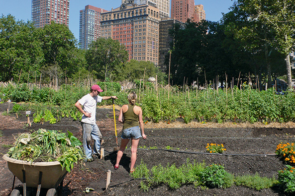 Battery Urban Farm New York