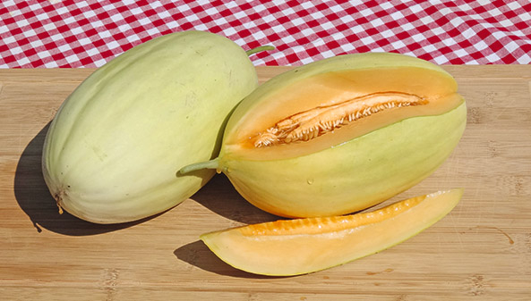 Mangomelone ‘Mangomel’