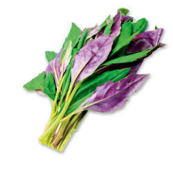 Okinawa ­Spinat