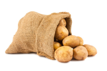 Kartoffeln kühl und dunkel lagern