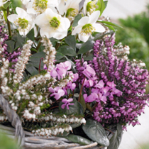 Was liegt an im Dezember?