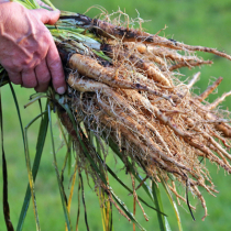 Was liegt an im März? Was liegt an im März?