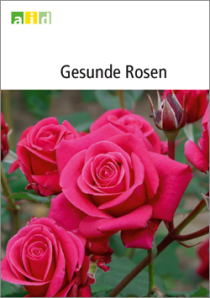 Unser Buchtipp: Rosen gesund erhalten