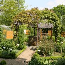 Apothekergarten Borken-Weseke