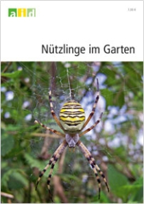 Nützlinge im Garten