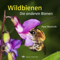 Faszination Wildbienen