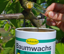 Wundverschluss aus natürlichen Harzen