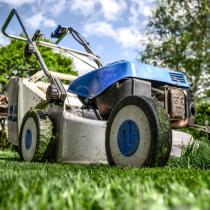 Worauf Sie beim Rasenmäherkauf achten sollten