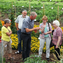 Gartenfreund-Expertenforum 2015: Moderne Formen des Gärtnerns