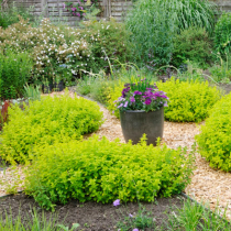 Ideen für die Gartengestaltung I