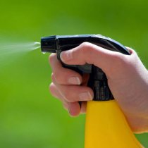 Glyphosat – „wahrscheinlich nicht“ krebserregend
