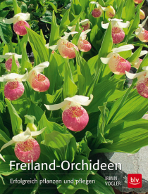Unser Buchtipp: Orchideen für den Garten