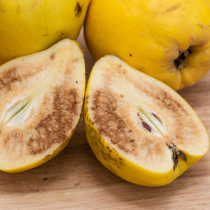 Pflanzenschutztipp: Fleischbräune bei Quitten