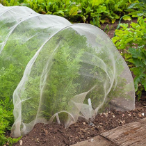 Insektenschutznetze gegen Schädlinge