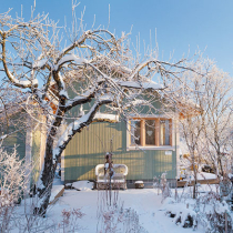 So kommen Ihre Pflanzen durch den Winter