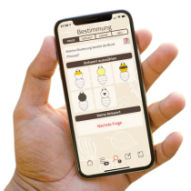 Apps für Wildbienen-Freunde