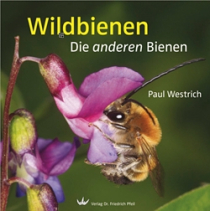 Zum Schmökern: Bücher über Wildbienen